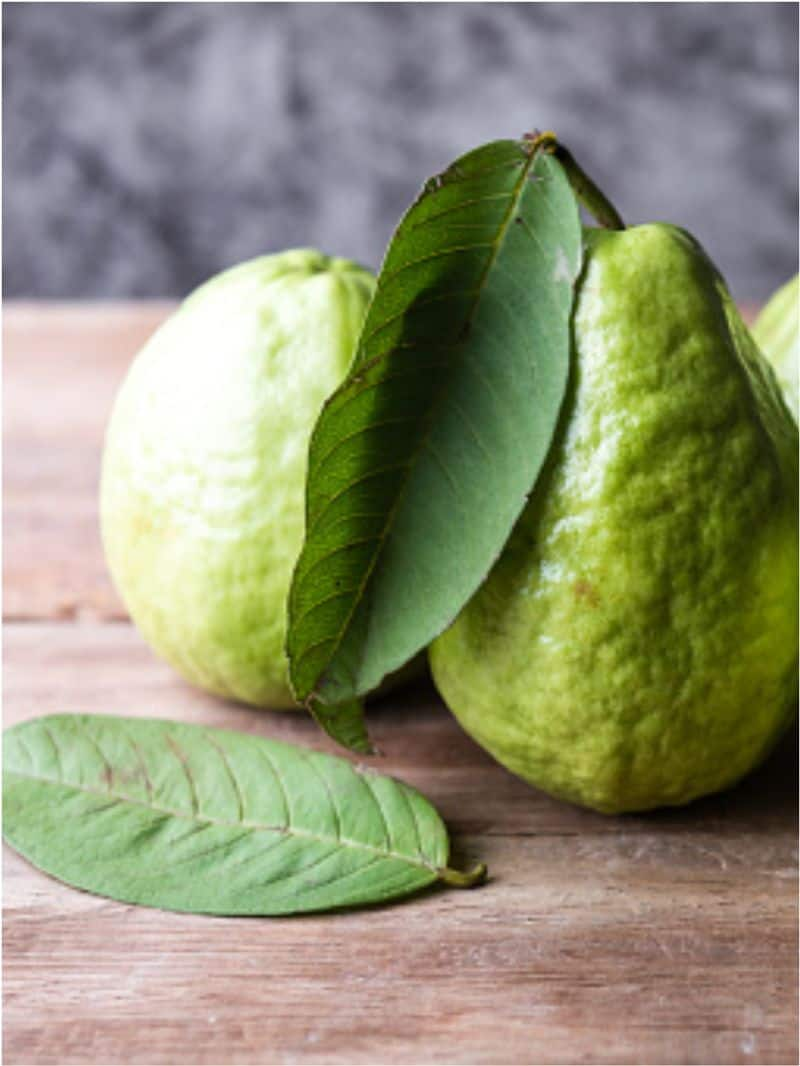 Amazing Health Benefits of Chewing Guava Leaves thrice a week