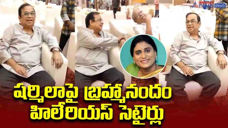 Brahmanandam comments on ys sharmila