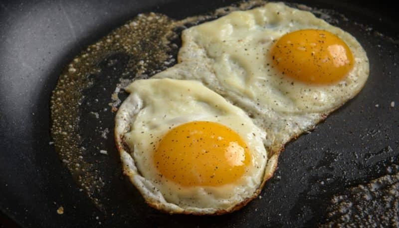 vital nutrients in eggs other than protein and fat