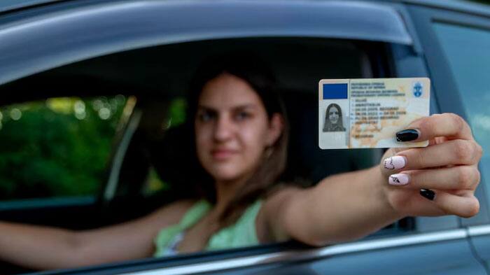 Driving License