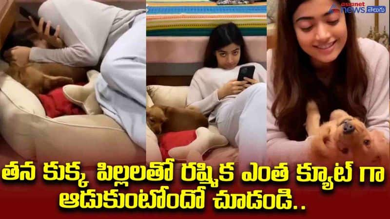 rashmika mandanna playing with dog