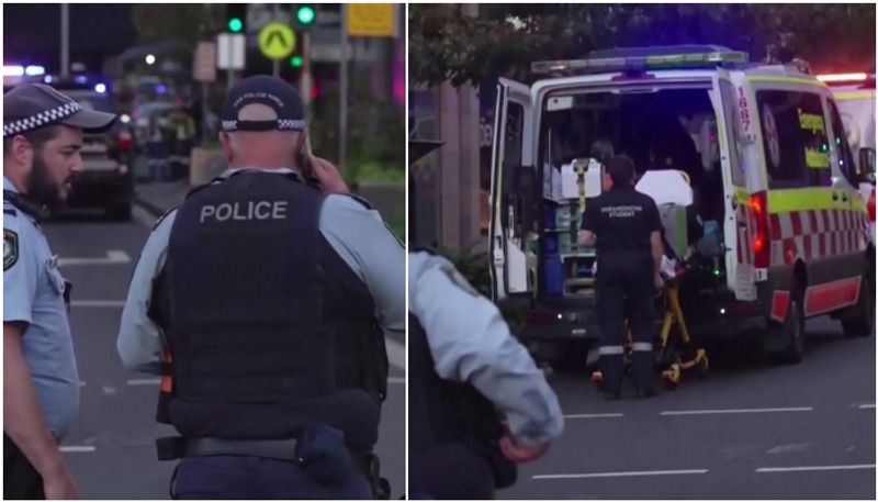 Five people were stabbed to death in a knife attack in Sydney mall san