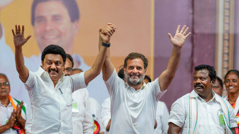 Rahul Gandhi who won the election with a sweet box, 41st win for INDIA alliance: MK Stalin praises sgb