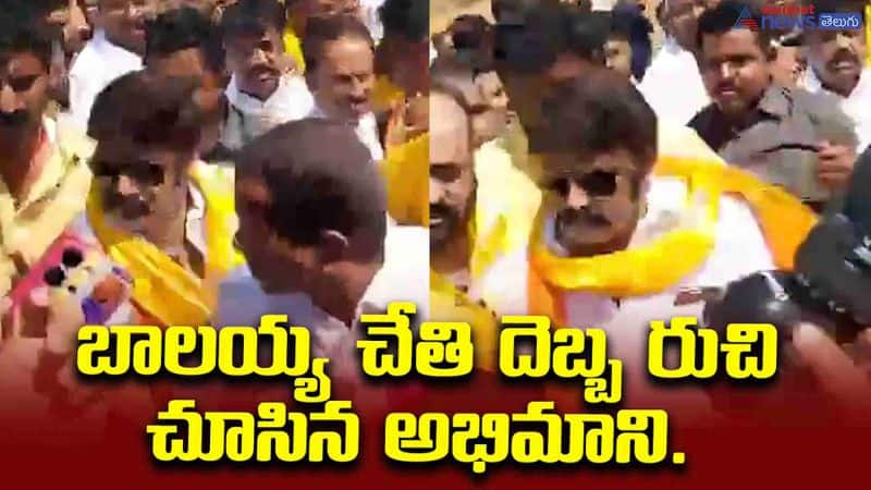 Nandamuri Balakrishna Slap His Fan