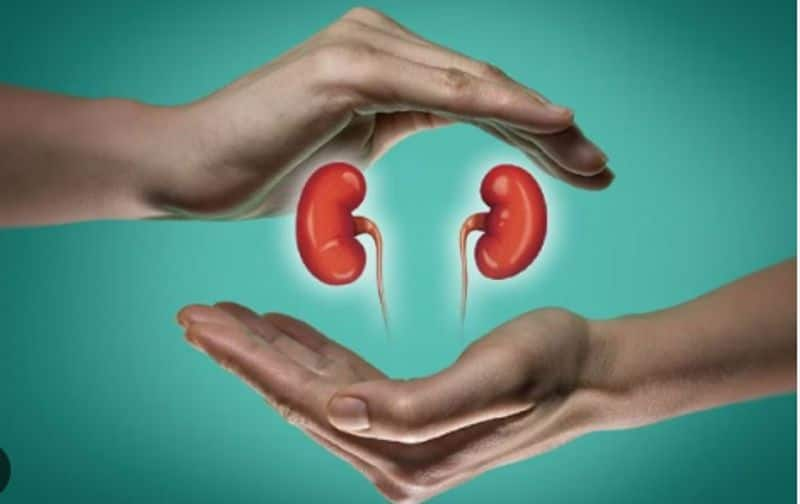 Avoid three foods that damage the kidneys