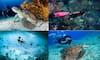 National Tourism Day 2025: 10 unforgettable scuba diving destinations you need to visit iwh