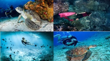 Summer Vacation 6 best destinations for scuba diving in India iwh