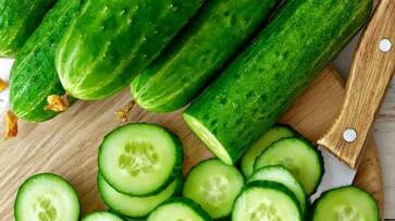 cucumber benefits in summers zkamn