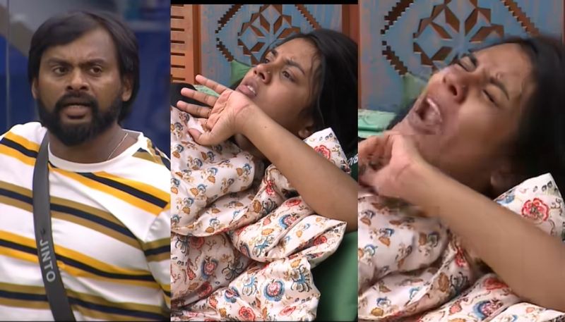 Bigg Boss Malayalam Season 6: Jasmin Jaffer to get psychologist's ...