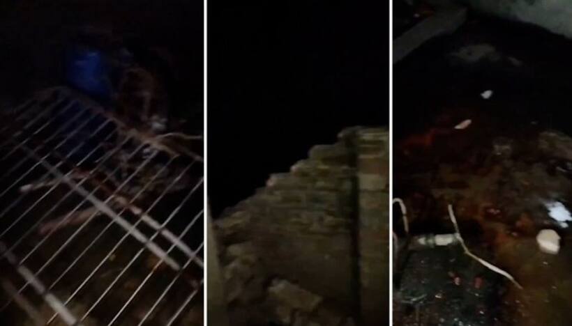 BJP alleges targeted attacks in West Bengal; Homes, religious sites hit in Murshidabad (WATCH)