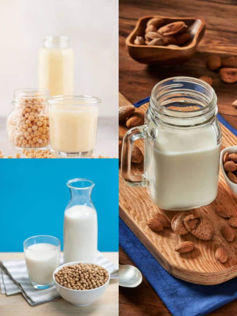 8 Health Benefits of Non-Dairy Milk nti