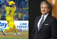 'Grateful my name is Mahi-ndra': Anand Mahindra praises Dhoni for his smashing performance against MIrtm