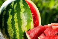 Watermelon The essential fruit you should to eat daily iwh