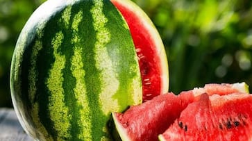 5 benefits of consuming watermelon in summers zkamn 