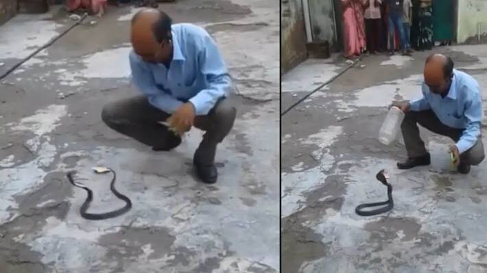 video goes viral