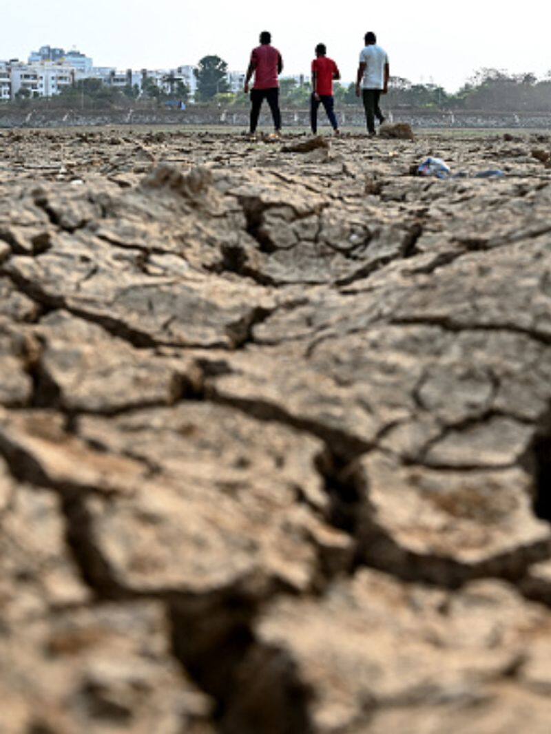 Anbumani demands compensation of 10000 each for drought affected coconut trees KAK