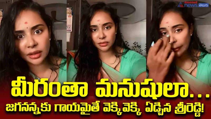 Srireddy Comments on Chandrababunaidu