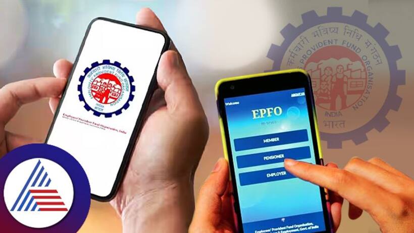 EPF rates for FY 23-24 increased to 8.25%: When will it be credited? Here's how to check your account balance