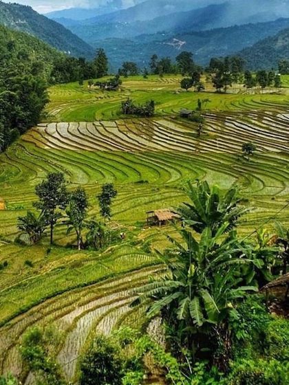 Sikkim