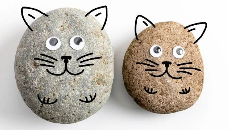 what is pet rock or companion stones new trend in south korea 