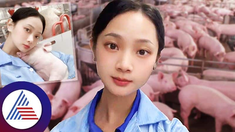 Chinese Women Becomes Internet Sensation After Left Job For Pig Farming roo