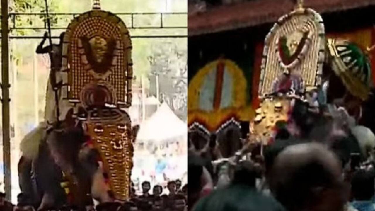 Thrissur Pooram 2024: Neithala Kavilamma Thekke Gopura Nada opens marking official start of Pooram