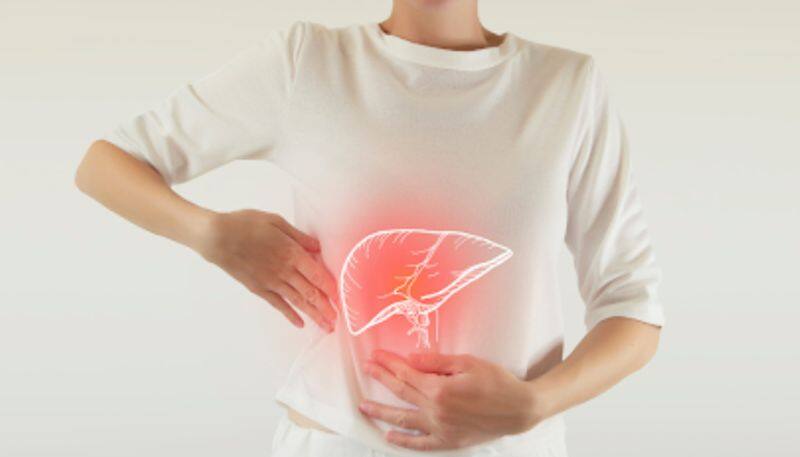 World Liver Day 2024: Here are 8 lifestyle modifications to maintain a healthy liver RBA