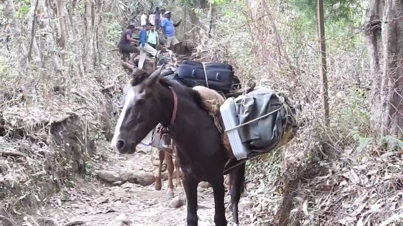 In Kodaikanal, ballot boxes were taken to hill villages by horses vel