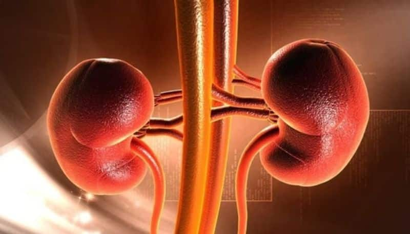 creatinine how it impacts your kidneys