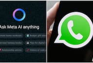Now chat with the FREE AI in WhatsApp; Know everything about the blue ring in WhatsApp and how to use it RTM