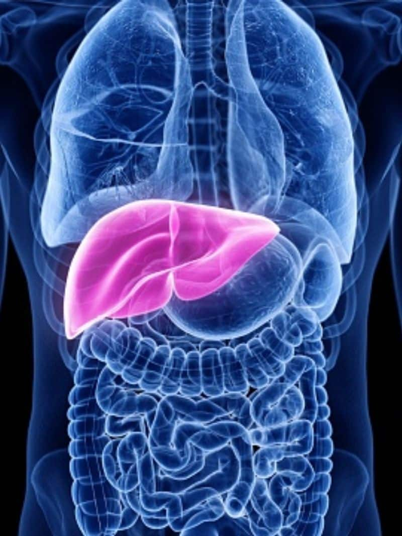 signs and symptoms of liver cancer