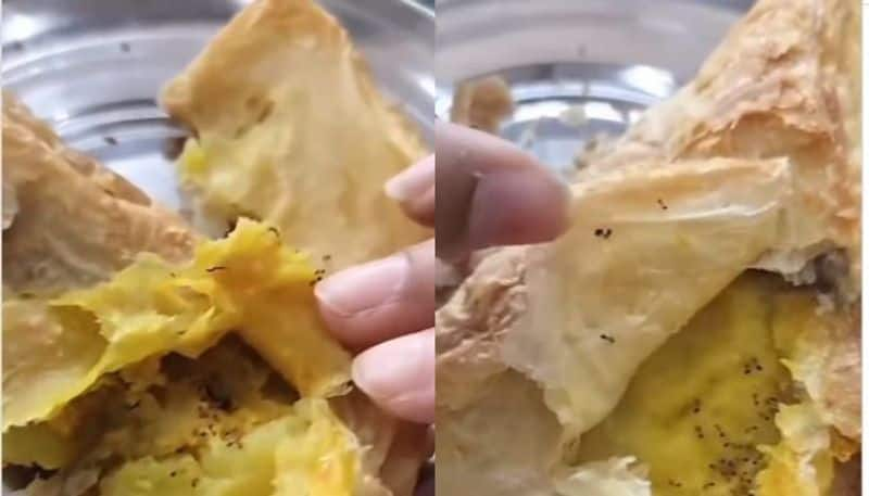 ants found inside samosa filling bought from college canteen video went viral 