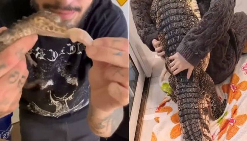 man accidentally catch crocodile adopt it video 