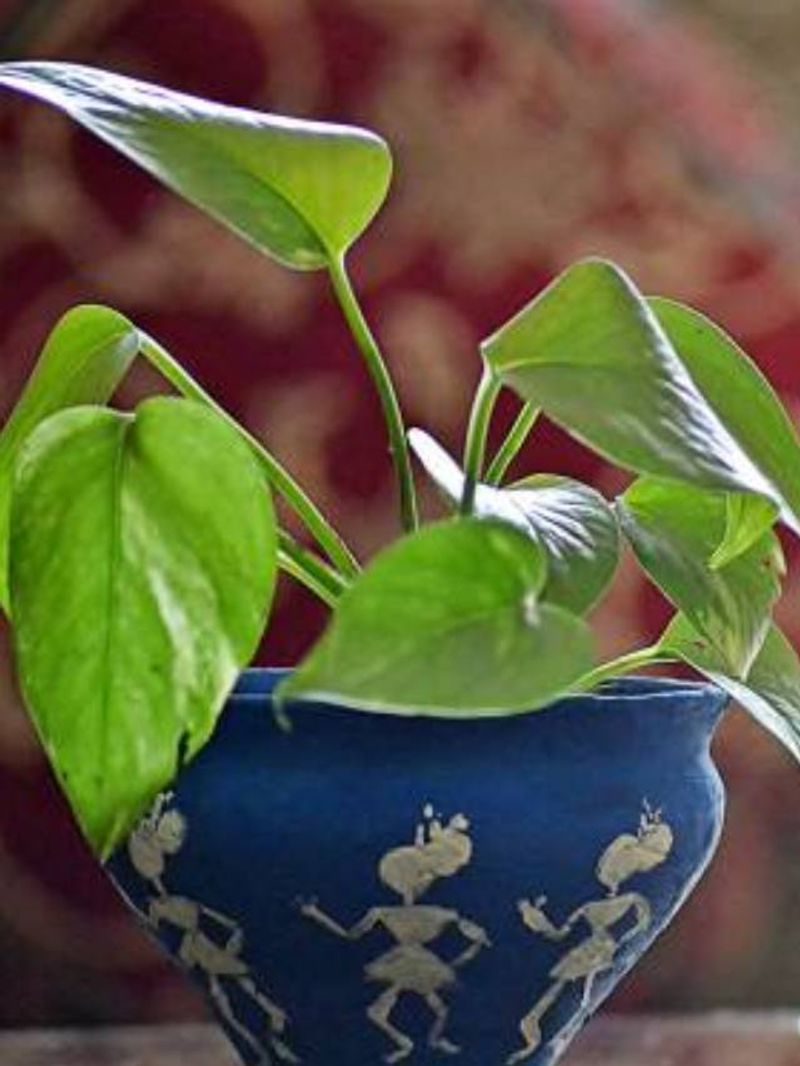 Asianet Image Asianet Image