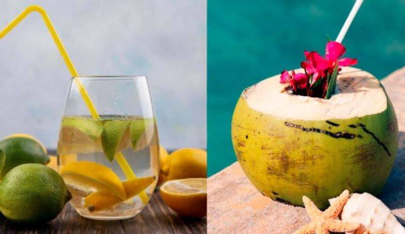 Lemon vs Coconut Water, Which is more hydrating during summer Vin