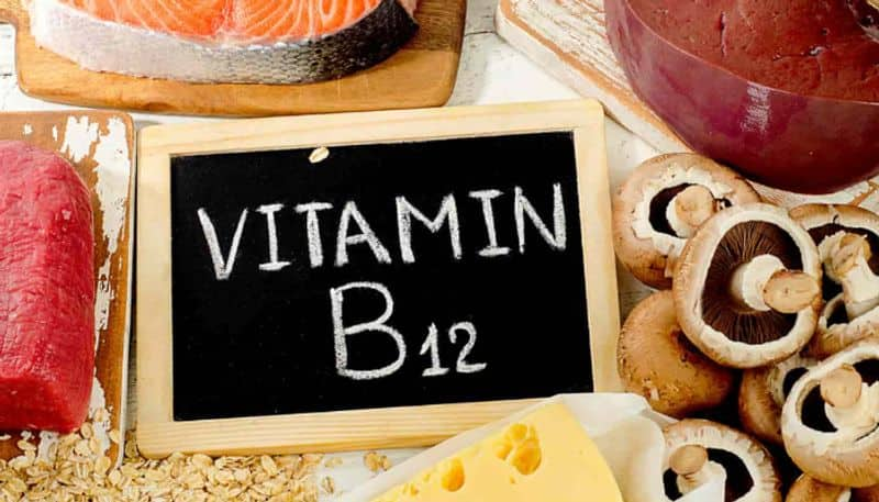 foods that are high in vitamin b12