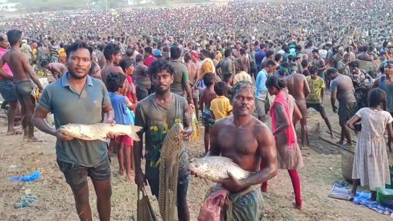 A large number of people participated in the fishing festival held in Sivaganga to pray for rain vel