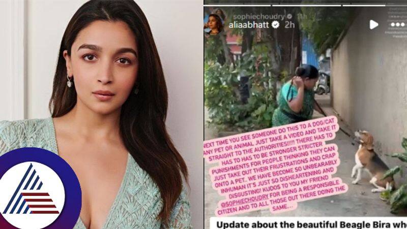 Alia Bhatt amplifies video of dog being cruelly beaten by monster maid shares an update suc