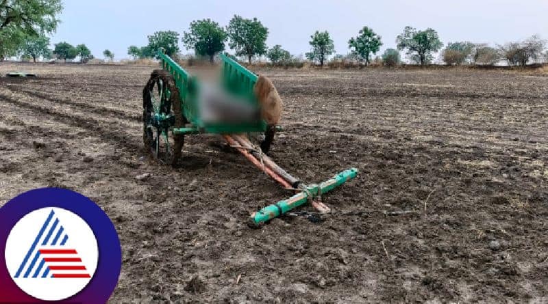 Karnataka Rain update 10 years old boy dies by lightning at kalaburagi rav