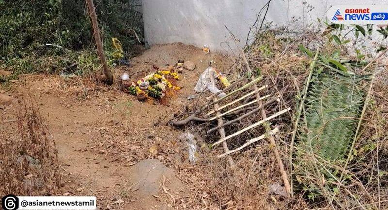 The youth of the area buried the monkey who died due to electric shock in Tiruppathur vel