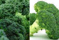 Broccoli to Kale: 7 vegetables that help reduce inflammation naturally ATG