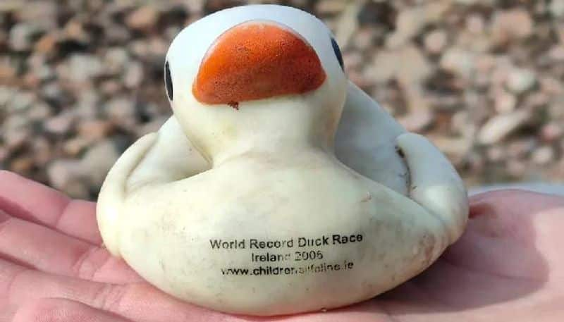 rubber duck released 18 years ago found 644km away 