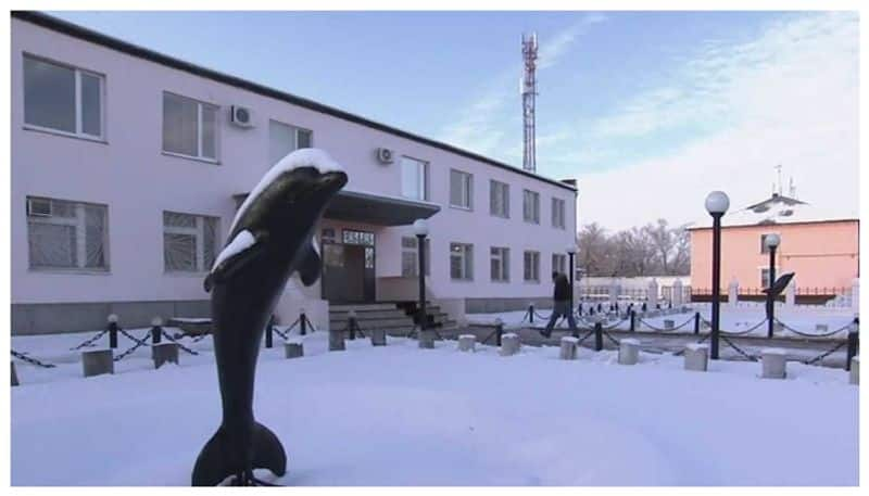 Black Dolphin Prison The worlds most brutal prison