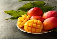 Mango Mania: 7 Delicious recipes for savoring the sweetness of summer! nti 