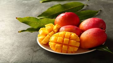 Mango Mania: 7 Delicious recipes for savoring the sweetness of summer! nti 