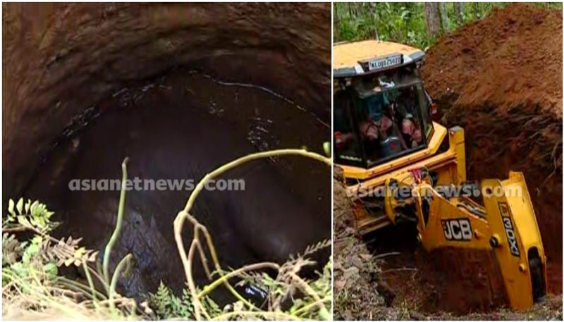 Kerala: Wild elephant dies after falling into well in Thrissur amid rescue efforts anr