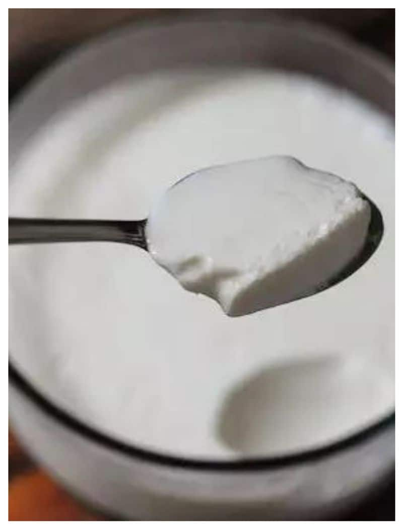 reasons you should be eating curd daily