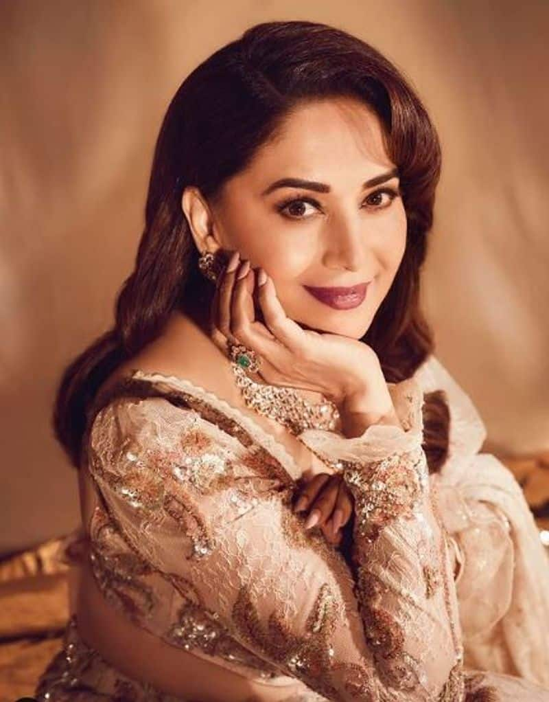 Madhuri Dixits Luxurious Lifestyle Private Jet Net Worth and more iwh