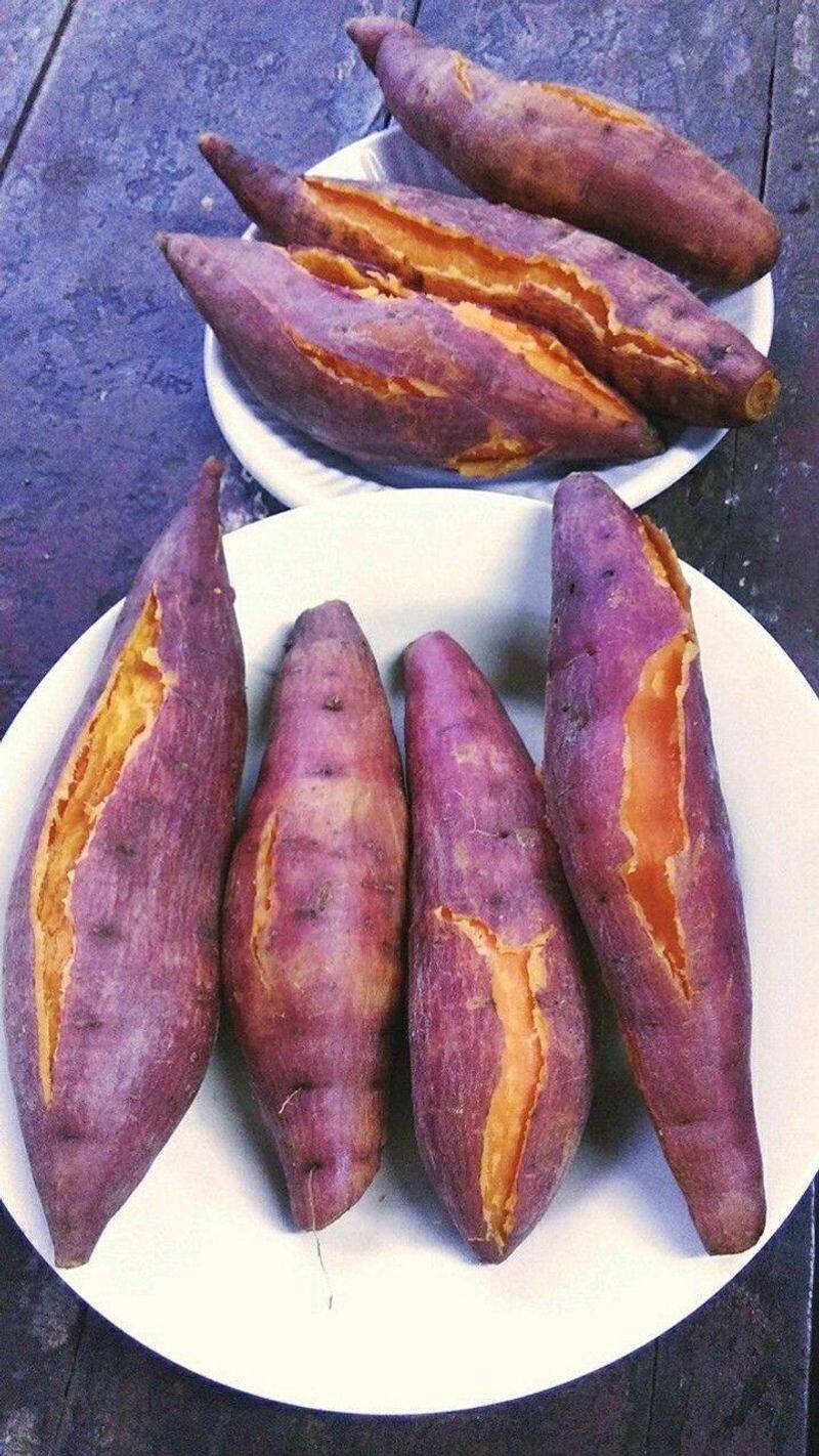 sweet potato benefits benefits shakarkand khane ke fayde kxa 