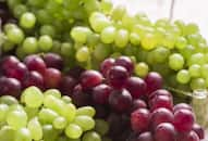 green-vs-red-grapes-health-benefits